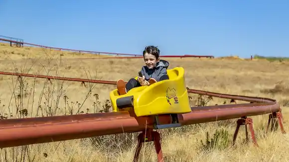 © Misty Mountain - www.mistymountain.co.za