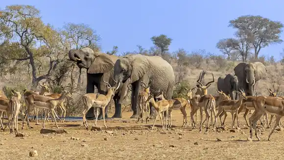 © The Guys Photography - www.theguys.co.za