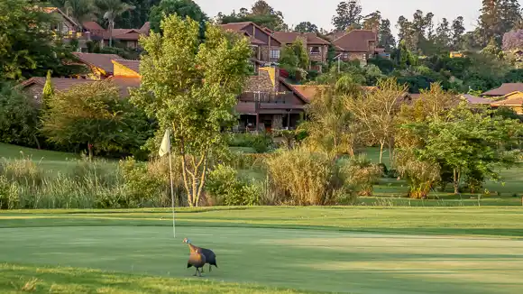 © The Guys Photography - www.theguys.co.za